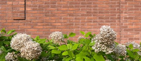 Punatiiliset referenssikuvat