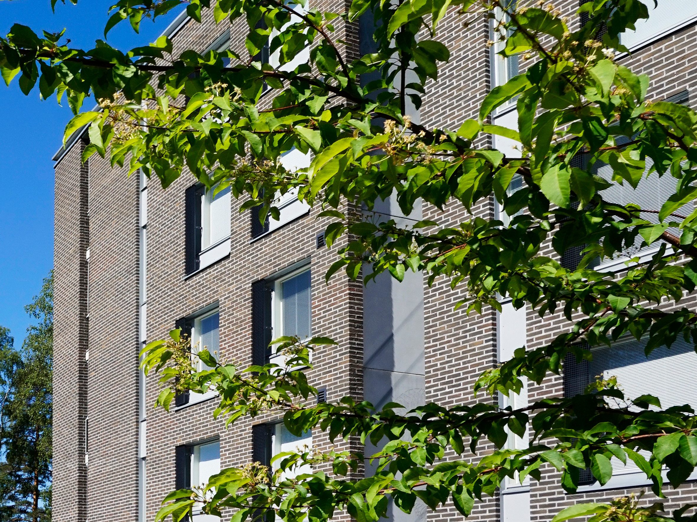 Antrasiitti Retro kerrostalo puun takana