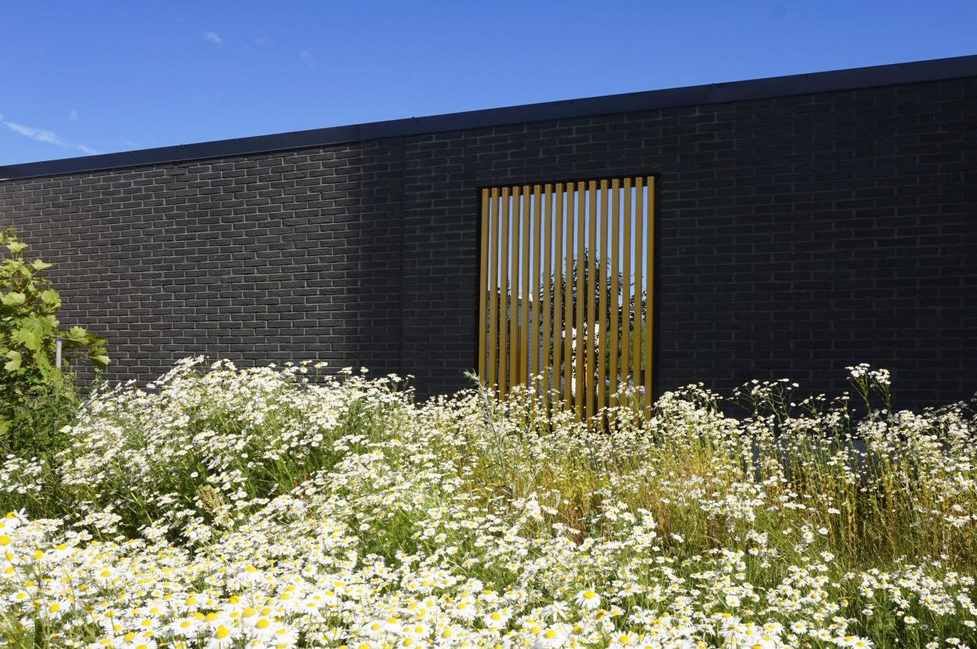 Hippukuja apartment building Tampere