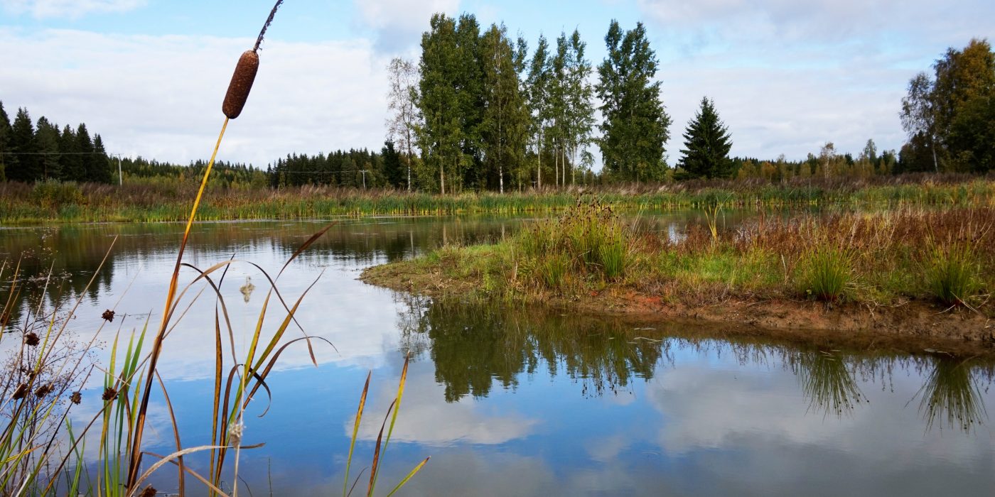 Clay fields aftertwards