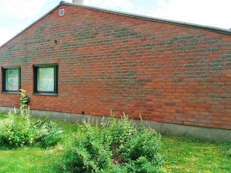 Tiilijulkisivun puhdistaminen