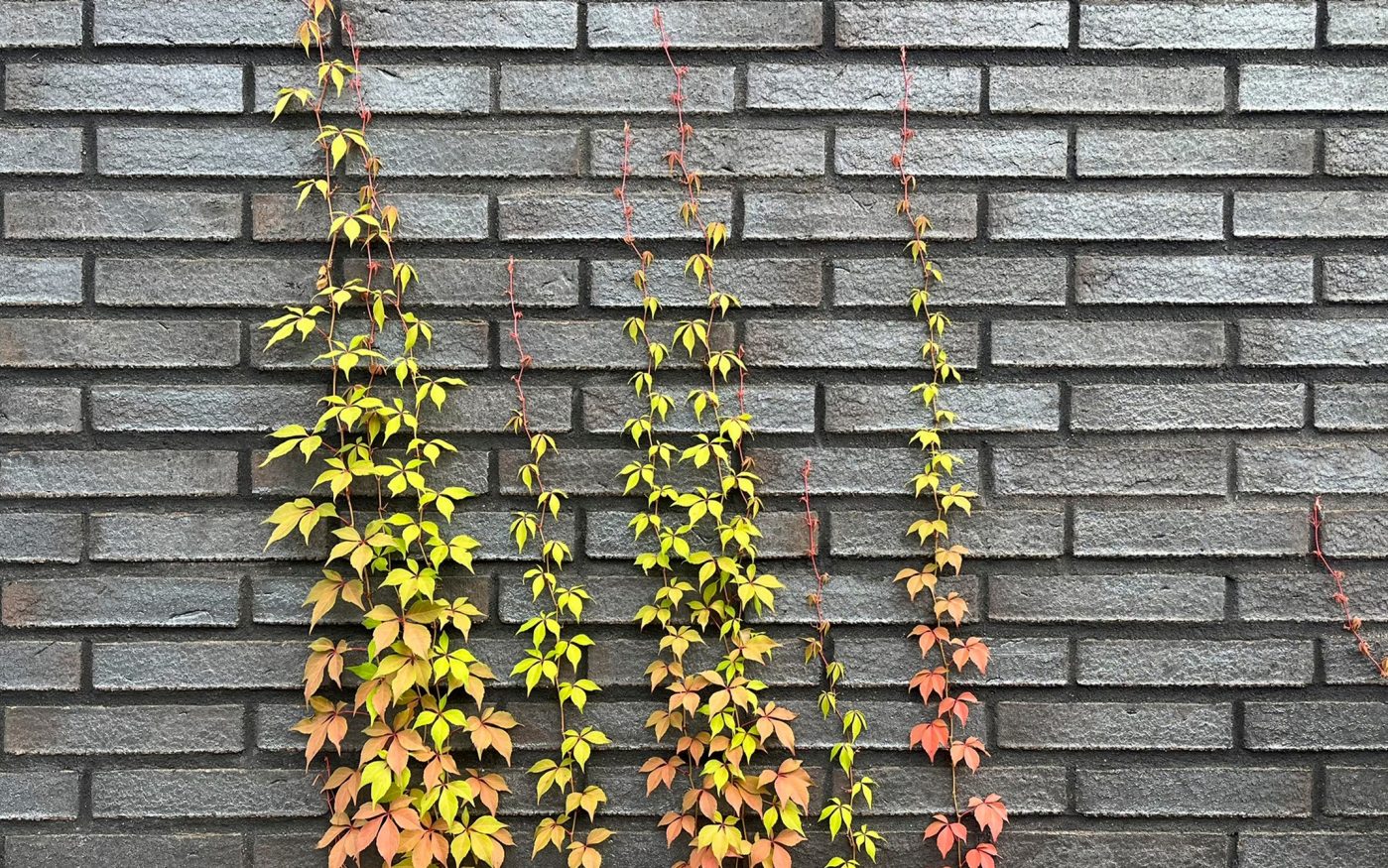 TOAS Rauhaniemi asuinkerrostalo Auer Vuolu