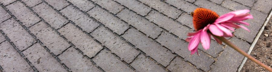 Reference photo private landscaping in Sint-Katelijne-Waver