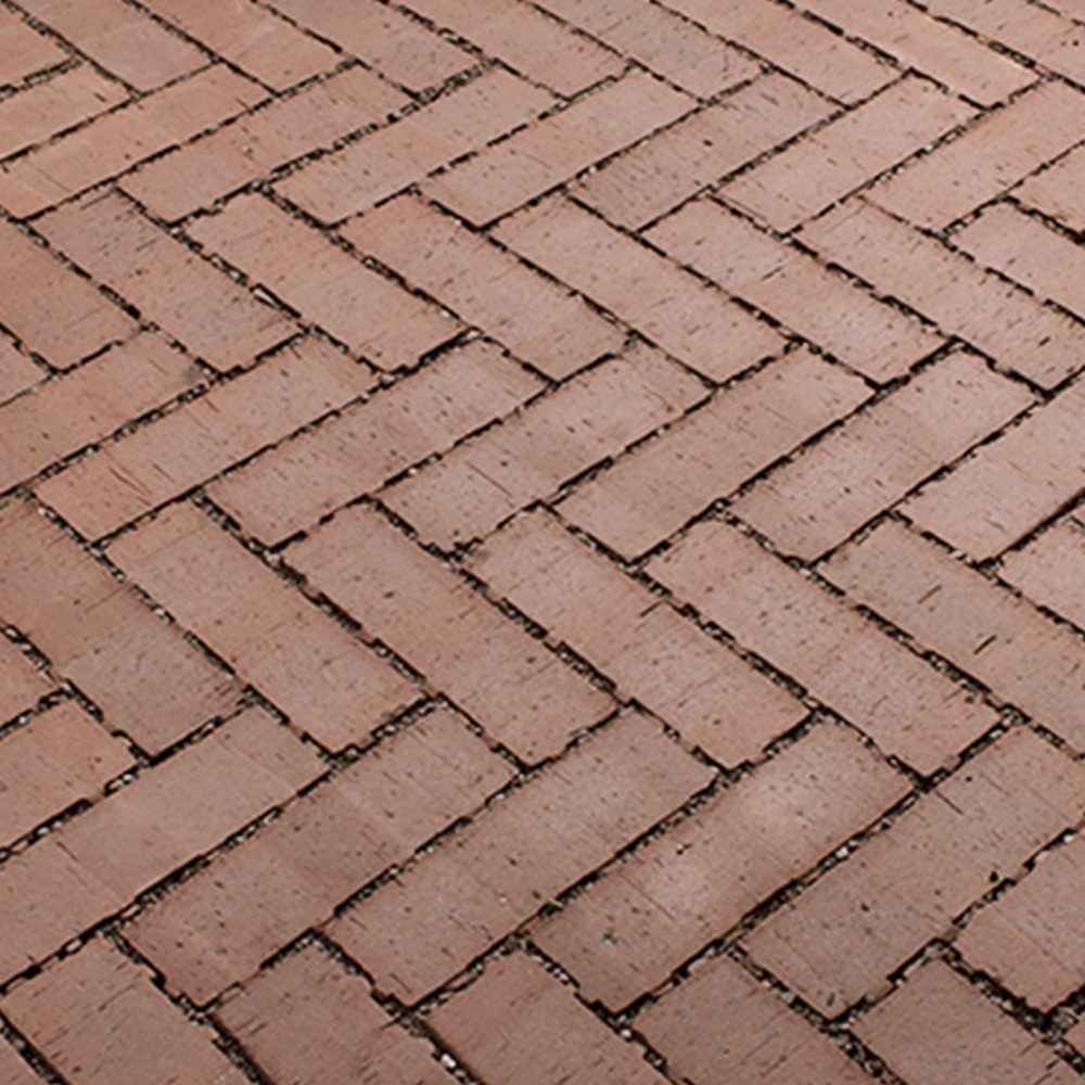 Aquata pavers root