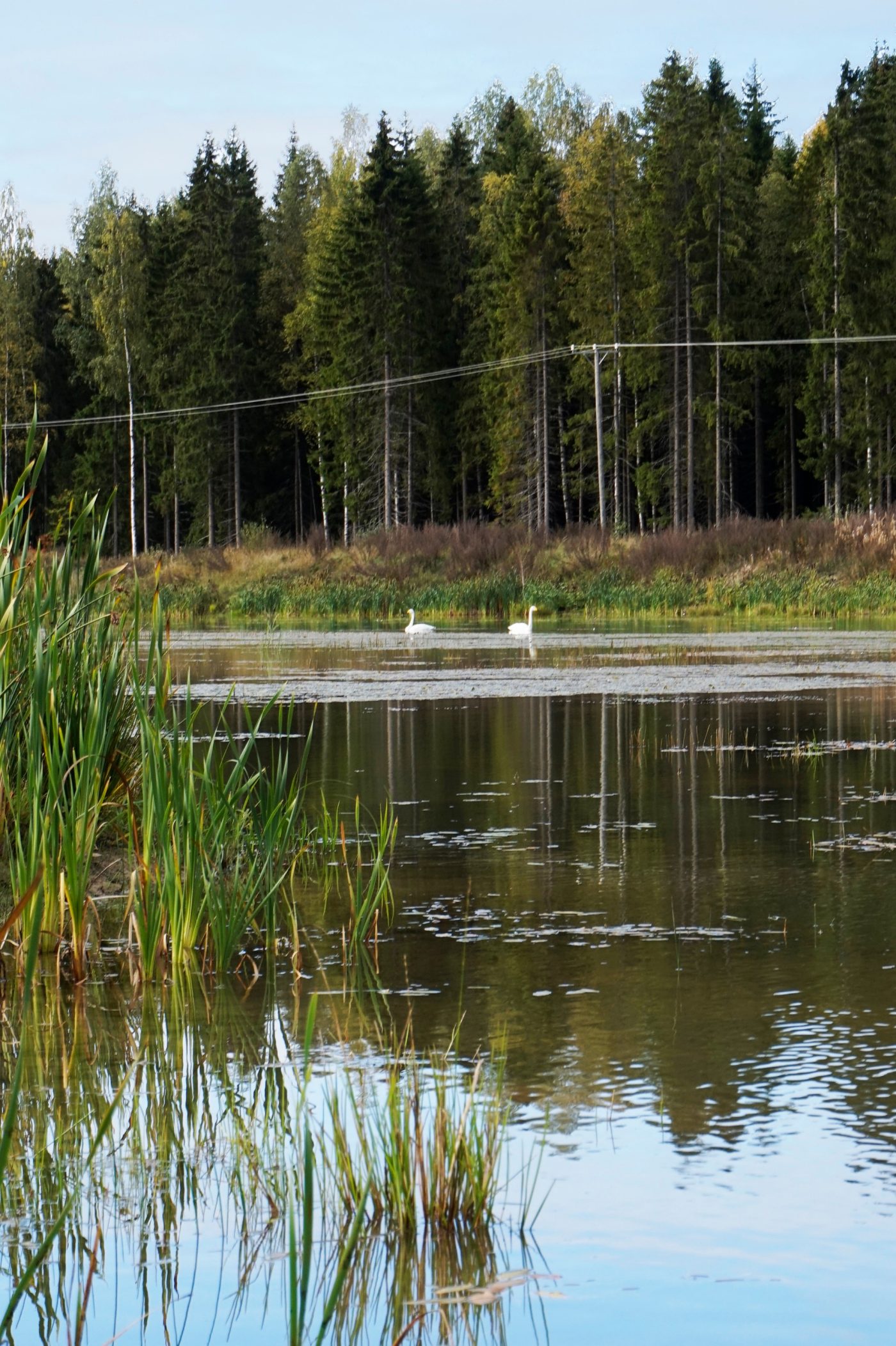 Clay fields aftertwards