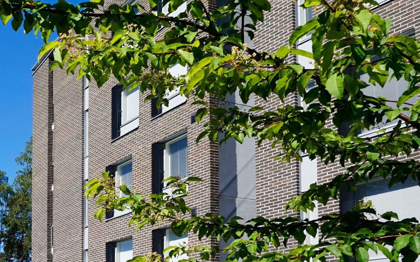 Antrasiitti Retro kerrostalo puun takana