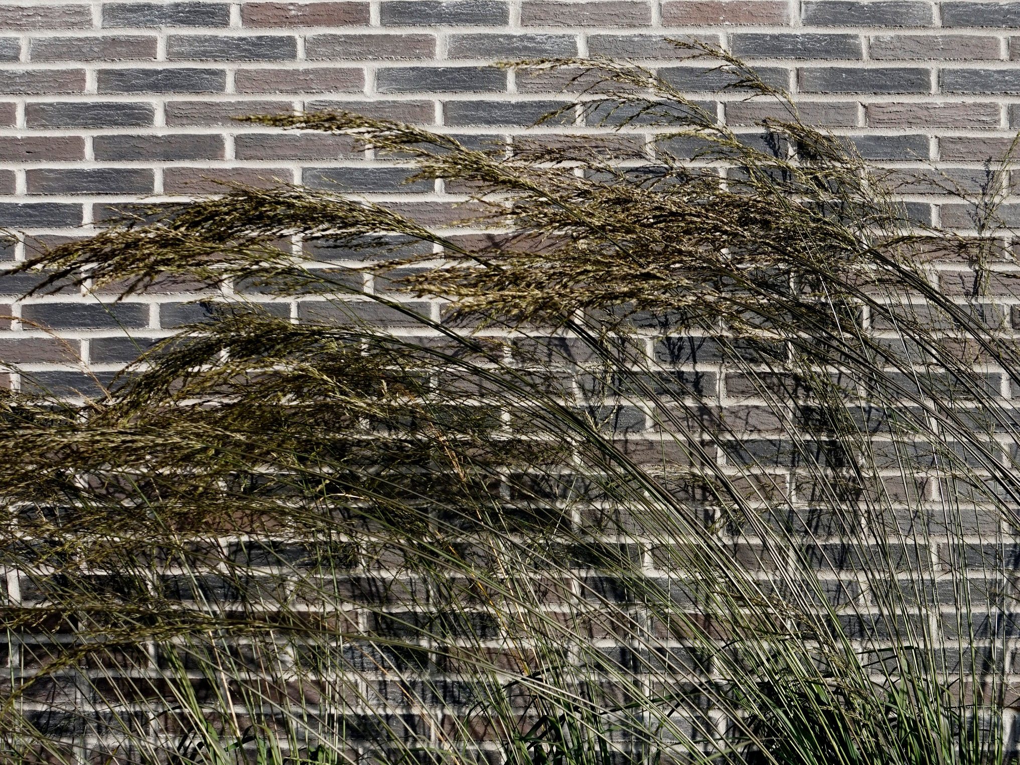 Asuinkerrostalot Kruunuvuorenranta