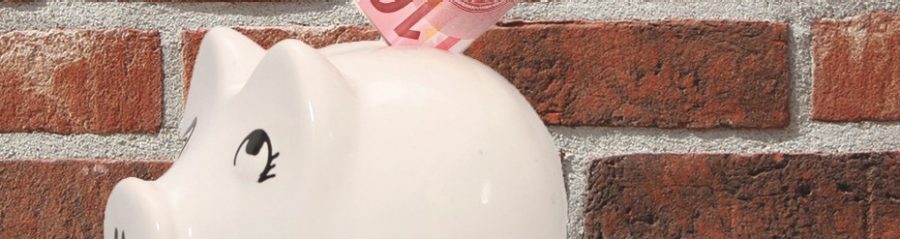 Säästöpossu 10 euroa